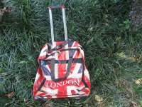 1Pc Convenient Shopping Trolley Bag London