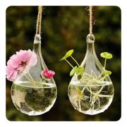 6Pcs Clear Hanging Glass Flower Plant Vase Holder