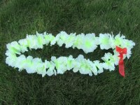 12Pcs White & Light Green Hawaiian Dress Party Flower Leis/Lei