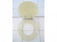 1X Toilet Seat Cover - Cream Color furn-ch3