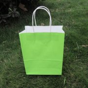 48 Bulk Kraft Paper Gift Carry Shopping Bag 33x26x12cm Green