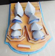 4Pcs 3D Sydney Opera Model Puzzle DIY Educational Toy