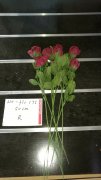 10Pcs Red Flower 50cm Long we-flo175