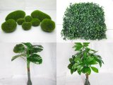 Artificial Plant