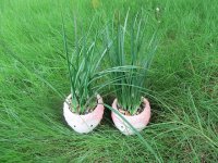 4Pcs Artificial Hedgehog Plants in Cute Pot