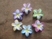 2x6Pcs Frangipani Hair Claw Clamp Clip Barette Hair Accessories