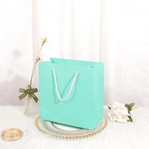 10Pcs Thick Cyan Kraft Paper Gift Carry Shopping Bag 22x22x10cm