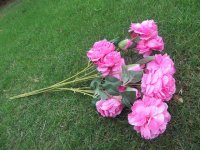 6Pcs Chinese Peony Artificial Flower Home Decoration - Hot Pink