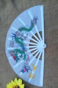 1X Chinese Dragon Martial Kung Fu Tai Chi Dance Fan White