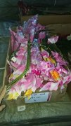 10Pcs Pink Flower 83cm Long we-flo208