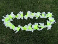 12Pcs White & Yellow Hawaiian Dress Party Flower Leis/Lei