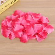 1000X Rose Petals Wedding Party Decoration - Fuschia