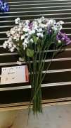 5Pcs White Purple Flower 60cm Long we-flo155