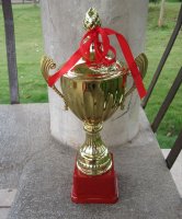 1Pc Golden Plated Trophy Cup Novelty Achievement Award 29cm High