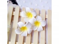 50 New Fabulous Foam Frangipani Flower 4.5x3cm