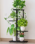 1Set Black 4 Layer 5 Multiple Potted Plant Stand Display Rack