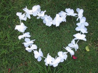 12 White Hawaiian Dress Party Flower Leis/Lei