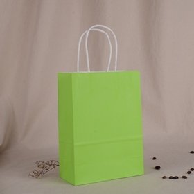 48 Bulk Kraft Paper Gift Carry Shopping Bag 21x15x8cm Green