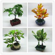 12 Artificial Potted Plant Home Decoration Assorted