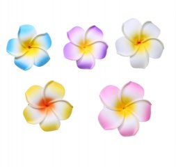 30 New Fabulous Foam Frangipani Flower 8x3.5cm Mixed