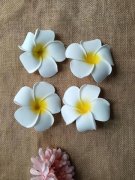 20Pcs White Yellow Frangipani Hair Clips Head Wear 95mm Dia