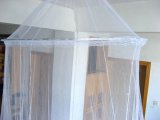 Mosquito Net