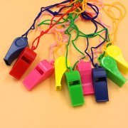 120 Plastic Funny Kids Whistle with String