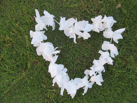 12X White Hawaiian Dress Party Flower Leis/Lei 8CM - Click Image to Close