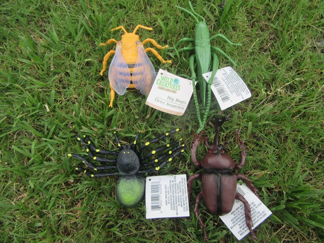 6Pcs Vivid Collectible Big Insects Gross Insectes Great Toy - Click Image to Close