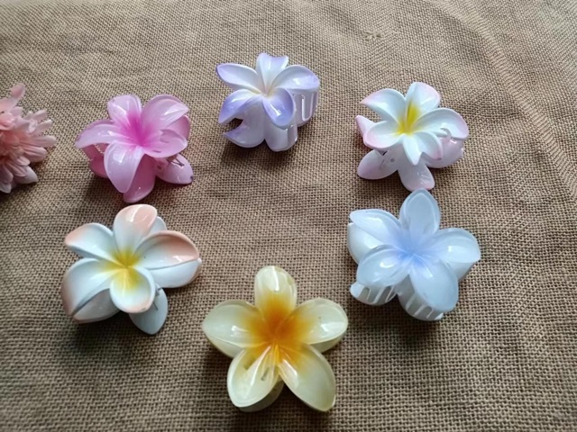 2x6Pc Frangipani Hair Claw Clamp Clip Barette Hair Accessories - Click Image to Close